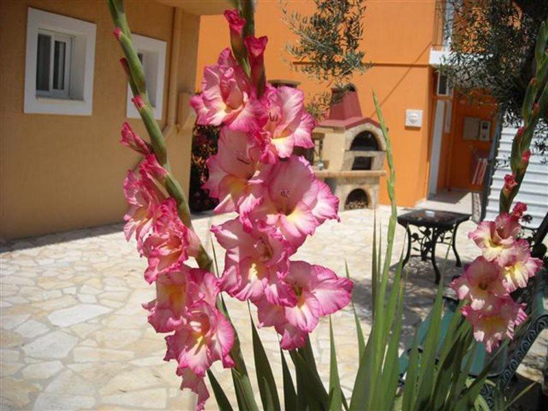 Erietta Studios Svoronata Exteriör bild
